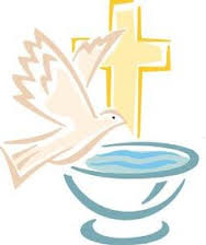 White dove